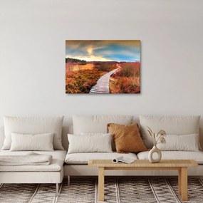 Obraz - Jesenná cesta krajinou (70x50 cm)