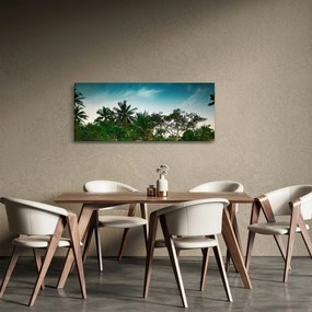 Obraz - palmy (120x50 cm)