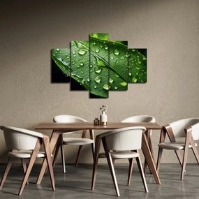 Obraz - List po daždi (150x105 cm)