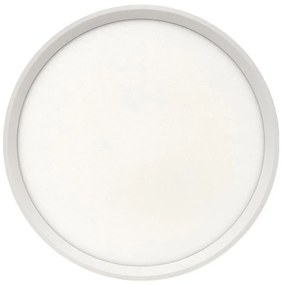 LED stropné svietidlo LED/24W/230V 3000/4000/6500K pr. 30 cm biela