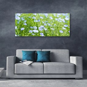 Obraz na akrylátovom skle Kvety tráva rastlina príroda 125x50 cm