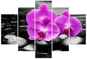 Obraz - Fialové orchidey (150x105 cm)