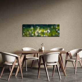 Obraz - Tráva (s hodinami) (90x30 cm)