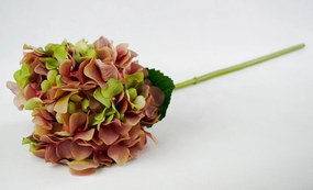 Dekorácie ružovo-zelená hortenzie - 80 cm