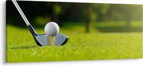 Obraz - Golf (120x50 cm)