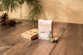 Blossombs Vianočná sada semienok divokých kvetov Winter Landscape – 4 ks