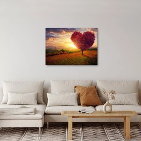 Obraz stromu v tvare srdca (70x50 cm)
