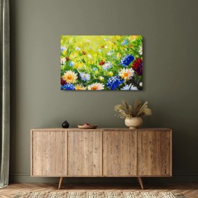 Obraz rozkvitnutej lúky, olejomaľba (90x60 cm)