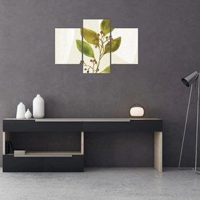 Obraz - Akvarelová vetvička N⁰1 (90x60 cm)