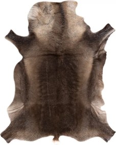 Koberec RENIFER POK010 hnedý