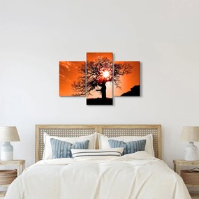 Obraz - Dub pri západe slnka (90x60 cm)