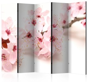 Artgeist Paraván -  Cherry Blossom II [Room Dividers]