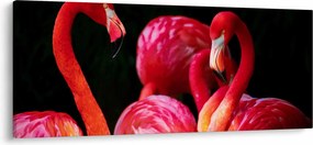 Obraz červených plameniakov (120x50 cm)
