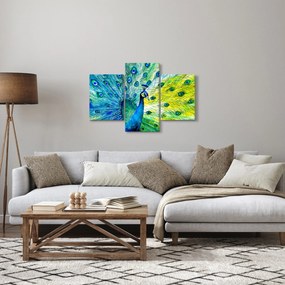 Obraz páva (90x60 cm)