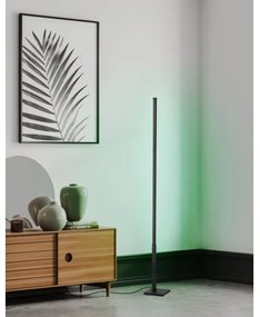 Eglo 75654 - LED RGB Stmievateľná stojacia lampa LED/13,5W/230V 2700-6500K + DO