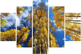 Obraz - Aspen (150x105 cm)