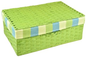 Úložný box s víkem zelený Rozměry (cm): 26x18, v. 10