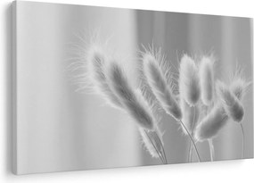 Obraz - Bunny tail grass (90x60 cm)