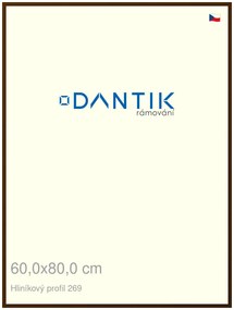 DANTIK rám na obraz 60x80 | ALU Hnědá umbra broušená (Plexi Čiré)