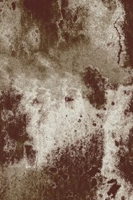 Koberec FD LIDA Conk hnedý