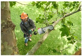 Parkside®  Benzínové kombinované náradie 4 v 1 PBK 4 C4  (100389613)