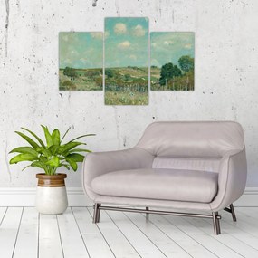 Obraz - Alfred Sisley,  Meadow, reprodukcia (90x60 cm)