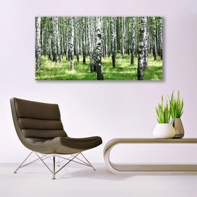 Obraz plexi Les tráva rastlina príroda 120x60 cm
