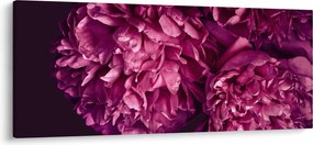 Obraz - Kytica pivoniek (120x50 cm)