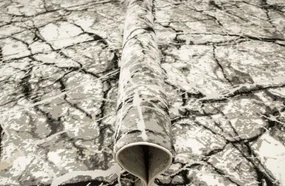 Koberec Tender 25226A čierny / svetlosivý