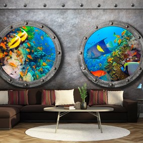 Artgeist Fototapeta - Window to the underwater world Veľkosť: 100x70, Verzia: Premium