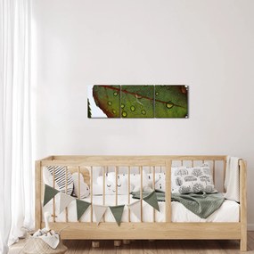 Obraz - List ruže (s hodinami) (90x30 cm)