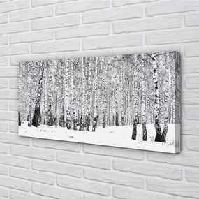 Obraz canvas zimný brezy 140x70 cm