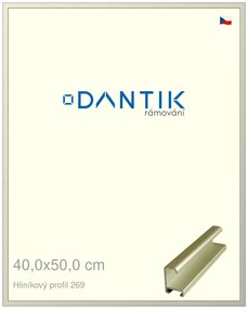 DANTIK rám na obraz 40x50 | ALU zlatá matná (Sklo Čiré)