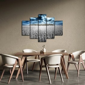 Obraz pole (150x105 cm)