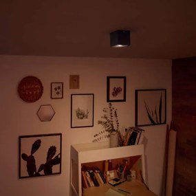 Philips 50491/30/P0 - LED Stmievateľné svietidlo MYLIVING BOX 1xLED/4,5W/230V