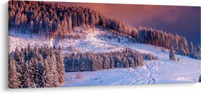 Obraz zimnej krajiny (120x50 cm)