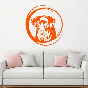 Veselá Stena Samolepka Labrador Farba: oranžová, Veľkosť: 40 x 43 cm