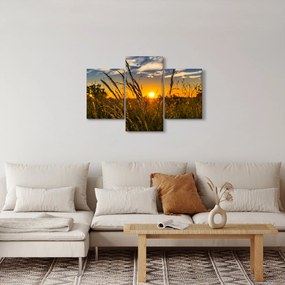 Obraz pole pri západe slnka (90x60 cm)
