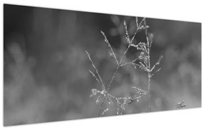 Obraz - Vidiecka lúka (120x50 cm)