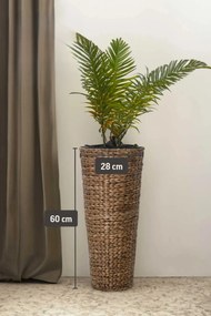 Kvetináč CLASSIC ROUND, vodný hyacint, výška 60 cm, hnedý