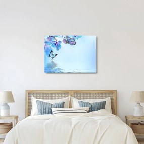 Sklenený obraz - Motýľ na kvetoch orchidey, modrý (70x50 cm)