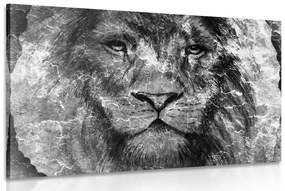 Obraz tvár leva v čiernobielom prevedení - 120x80