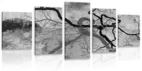 5-dielny obraz surrealistické stromy v čiernobielom prevedení - 100x50