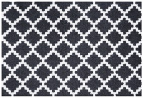 Protišmyková rohožka Home Black White 103156, 50x70, čiernobiela, chodba / predsieň, Hanse Home