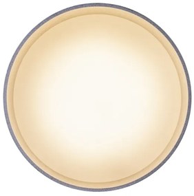 Globo 12015N - LED Stropné svietidlo JENNY LED/8W/230V + LED/4W/230V