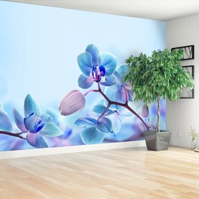 Fototapeta Vliesová Tropické orchidey 208x146 cm