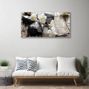 Obraz plexi Kvety kamene zen 100x50 cm