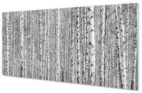 Nástenný panel  Čierna a biela strom les 140x70 cm