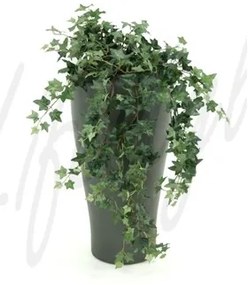 Hedera helix green hanging plant 90 cm