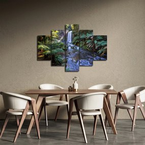 Obraz australského dažďového lesa (150x105 cm)